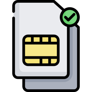 dual-sim
